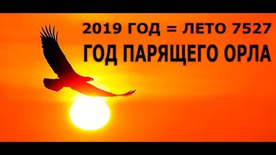 Свинья или парящий орел: чего ждать от символов Нового года-2019 - 