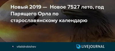 Новый 2019 — Новое 7527 лето, год Парящего Орла по старославянскому  календарю