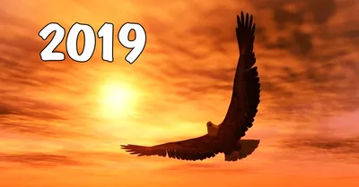 2019 год — это год парящего орла по славянскому календарю | liter-art | Дзен