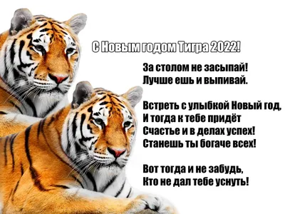 Лучший настенный календарь на 2022 год тигра, на ткани, с креплением |  Изображение дикой прироты, Настенные календари, Календарь