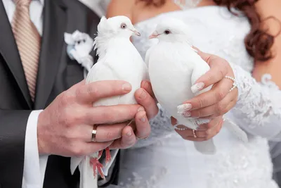 Годовщины свадеб по годам и их названия - что дарить - Психология | Сегодня