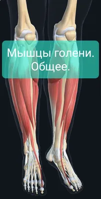 Перелом кости - причины появления, симптомы заболевания, диагностика и  способы лечения