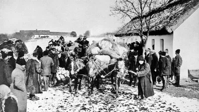 Правительство Независимого Татарстана признало Голодомор в Украине в  1932-1933 годах Геноцидом | Антиимперский Блок Народов