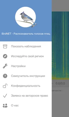 Купить Пластинка винил "Голоса птиц в природе". СССР. в интернет-аукционе  HabarTorg. Пластинка винил "Голоса птиц в природе". СССР. : цены, фото,  описание