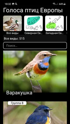 Голоса птиц России PRO