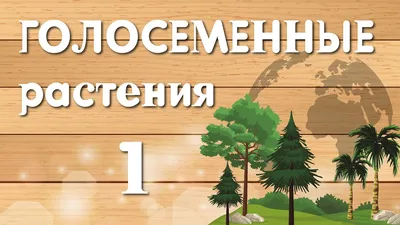 Голосеменные растения палеоцена-эоцена юго-востока Западной Сибири – тема  научной статьи по биологическим наукам читайте бесплатно текст  научно-исследовательской работы в электронной библиотеке КиберЛенинка