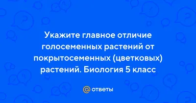 Роды голосеменных — Википедия