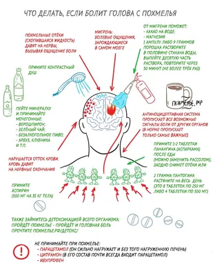 Если болит голова с похмелья: инфографика | Пикабу