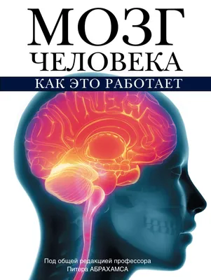 Книга Мозг человека, Как это работает - купить спорта, красоты и здоровья в  интернет-магазинах, цены на Мегамаркет | 197995