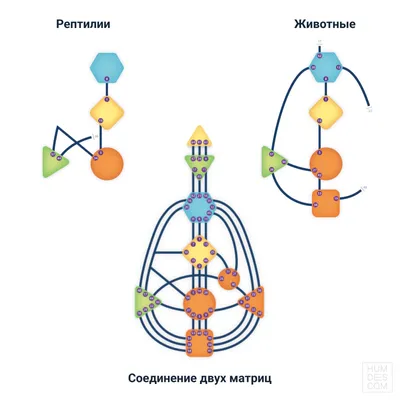 Безногие земноводные | это... Что такое Безногие земноводные?