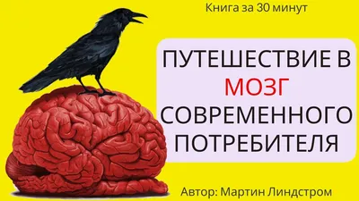 Файл:Brain human normal inferior  — Википедия