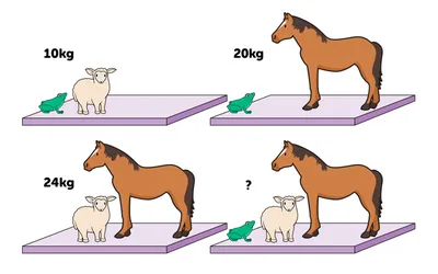 Математическая головоломка | Сколько весят все животные вместе? - Питомцы  