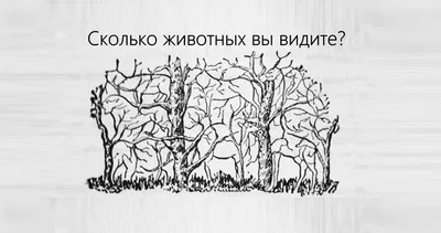 Сколько животных на картинке? | Пикабу