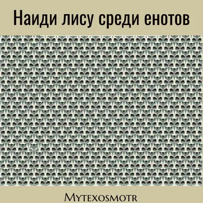 Кроссворды и головоломки. Развиваем внимательность - купить книгу с  доставкой в интернет-магазине «Читай-город». ISBN: 978-5-37-832890-1