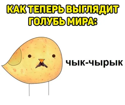 Желто-голубой голубь мира: опубликован логотип поездки Папы в Казахстан