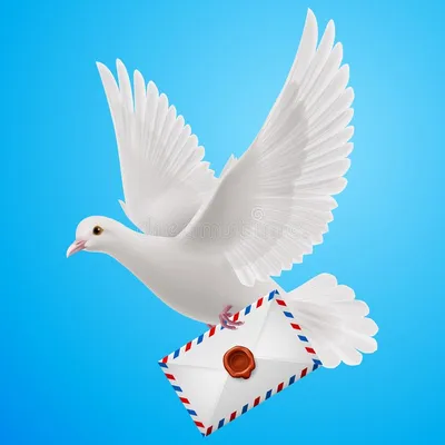 Почтовый голубь с письмом на лапке…» — создано в Шедевруме