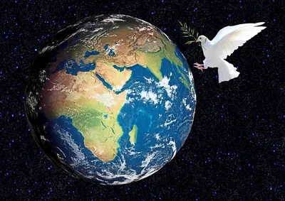 Почему и как голубь стал символом мира? | Уголок историка | Дзен