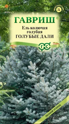 Ель голубая 1,2 м - купить Хвойные растения в Украине ▻ Цена на Ecosad