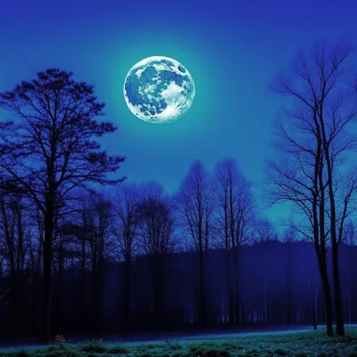 Голубая Луна» взойдет на небе 31 августа. Что это за явление | РБК Life