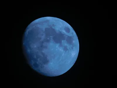 Голубая Луна: помним и ждем 30 августа | London Cult.