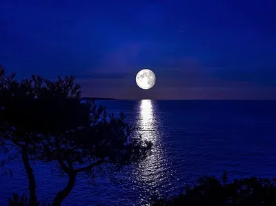 Что за "Голубая Луна" взойдет на небе 31 августа, чем она опасна и что  нельзя делать?