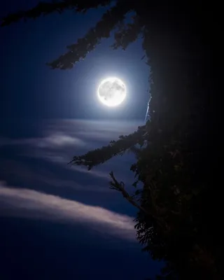Голубая Луна» в 30 потрясающих фотографиях