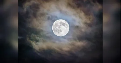 Голубая Луна. Ритуал | Сапфировая Кисть: Магия, таро, астрология, и почти  психология | Дзен