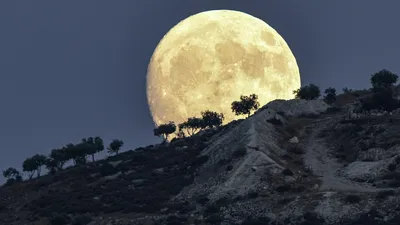 Голубая Луна 2023 – что означает, как и когда увидеть ТСН новости 1+1 —  Наука и IT
