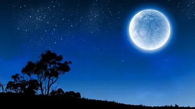 Суперлуние и «голубая Луна»: что можно и нельзя делать, как загадать  желание | Ямал-Медиа