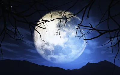 В ночь на 31 августа на небе будет видна «Голубая Луна» и максимально  большой лунный диск