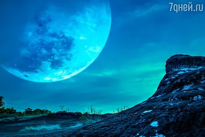 Голубая Луна: знаки зодиака, перед которыми откроются все двери в  Суперлуние 31 августа - 7Дней.ру
