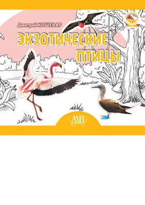 Алмазная мозаика на подрамнике 20х30, алмазная живопись вышивка 20*30  павлин, наборы для творчества с круглыми стразами - купить с доставкой по  выгодным ценам в интернет-магазине OZON (522621905)