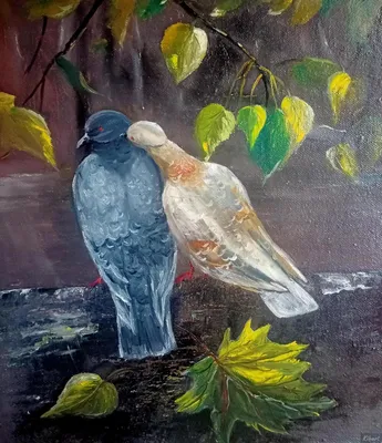 Любовь и голуби» — создано в Шедевруме