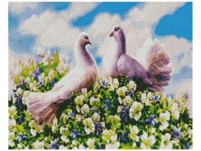 Голубиная любовь | Дивный мир животных и птиц | Дзен