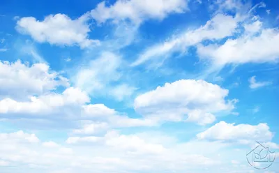 Фотообои Небо и облака "Синее небо с облаками" - арт 009009014 | Купить в  интернет-магазине Фото в дом