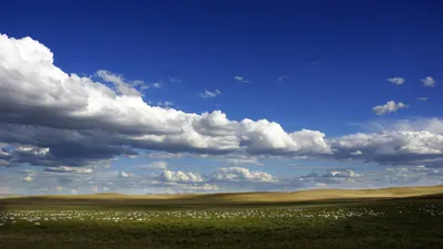 Голубое небо с белыми облаками - красивые фото