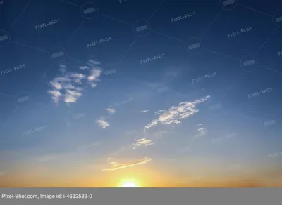 Ромашки на фоне голубого неба - 65 фото