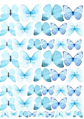Бабочки голубые вафельная картинка | Магазин Домашний Пекарь
