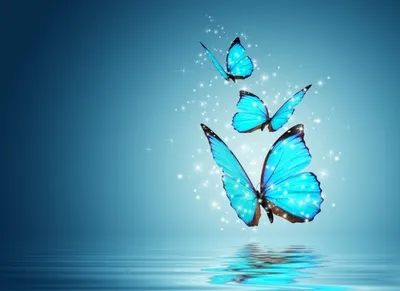 Вафельная картинка Голубые бабочки коллаж KonDIY VK446 от продавца: KonDIY  – купить по выгодной цене в интернет-магазине ROZETKA с доставкой по Украине