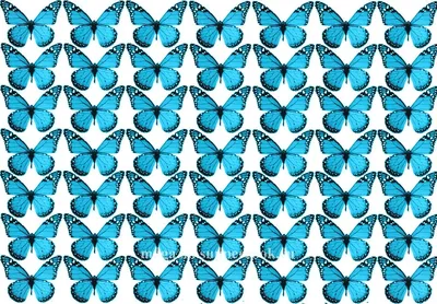 Картина на стену 3д "Голубые бабочки"