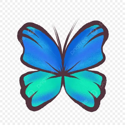 Голубые бабочки обои - 68 фото