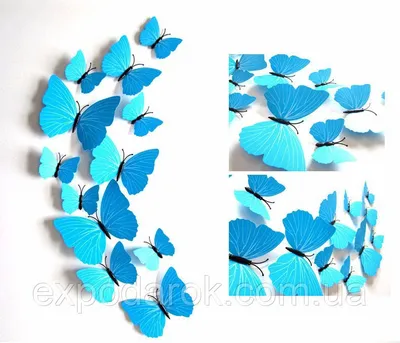 Голубые бабочки для декора 12 штук (ID#1083142254), цена: 105 ₴, купить на  