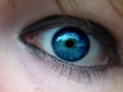 глаза #голубой #eyes #blue | Light blue eyes, Blue eyes aesthetic,  Aesthetic eyes