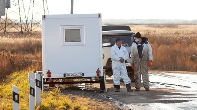 Две сестры и мужчина погибли в страшной аварии на трассе Голышманово -  Аромашево - 