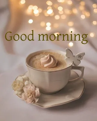 Good morning beautiful picture | Good morning greeting cards, Good morning  beautiful pictures, Good morning beautiful