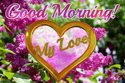 Good morning my love - | Love good morning quotes, Good morning love  messages, Morning love quotes