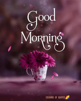 Good Morning wishes | Good morning flowers quotes, Good morning picture,  Happy good morning quotes