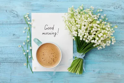 Good morning beautiful picture | Good morning greeting cards, Good morning  beautiful pictures, Good morning beautiful