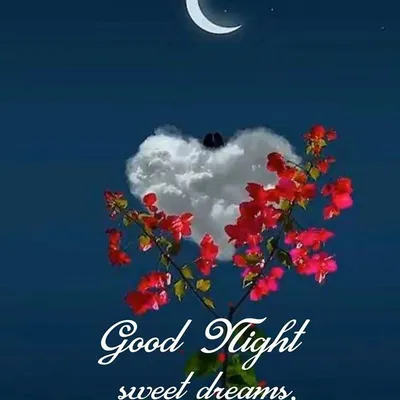 Good Night my friends sleep well have a blessed night... #fypシ #foryou... |  TikTok