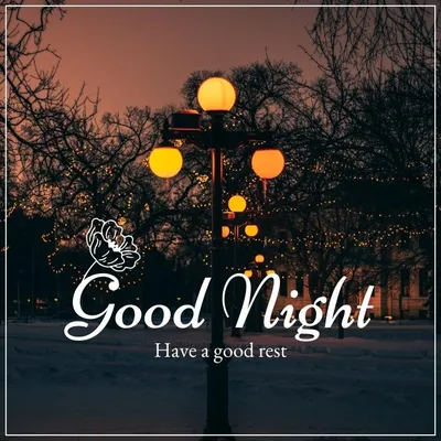 Good Night, Irene by Luis Alberto Urrea | Hachette Book Group